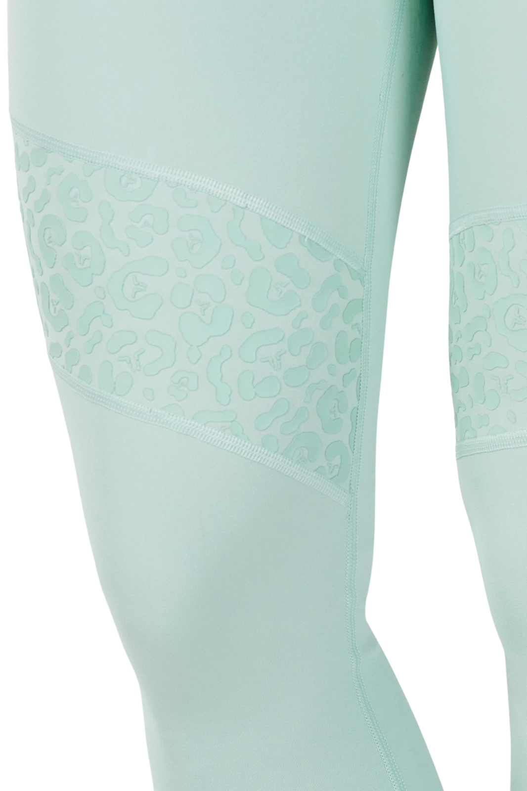 Untamed Panel Leggings 27