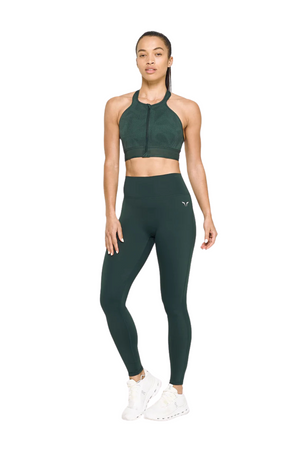 Pine Grove & Scarab Print
