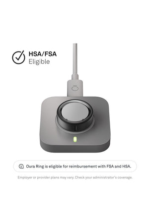 Charger (Grey)